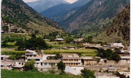 سوات میں پہلی شرعی حکومت کی بنیاد عبدالغفور نے رکھی