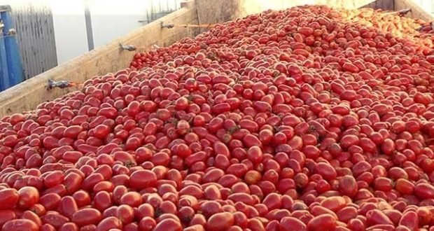 ملک میں ٹماٹر بحران پر قابو پانے کیلئے ایران سے ٹماٹر منگوالئے گئے