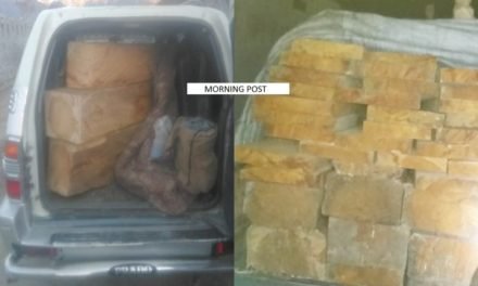 سوات ،کالام اور تحصیل کبل میں  ٹمبر مافیا کے خلاف آپریشن، قیمتی لکڑی سلیپربرآمد