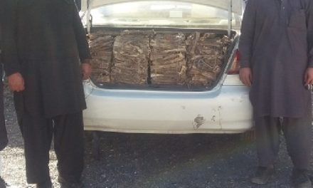 مینگورہ علاقہ امانکوٹ رہائشی کے گاڑی سے غیر قانونی 55 کلو دنداسہ برآمد