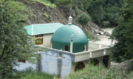 پشتو کے عظیم شاعر حافظ الپورئی