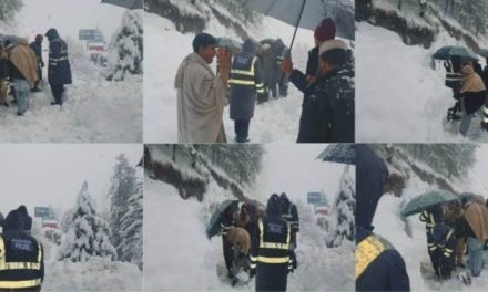 شانگلہ، موسم سرما کے تیسری بار برف باری سے پہاڑوں نے برف کی سفید چادر اڑھ لی