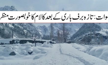 سوات میں 20 سال بعد مارچ میں زیادہ برف باری کا ریکارڈ  ٹوٹ گیا