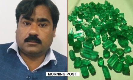 سوات، زمرد بیوپاری سے اسلام اباد میں چور نے 1 کروڑ 70 لاکھ روپے کی زمرد چرالیں