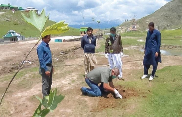 ملم جبہ میں شجر کاری مہم جاری
