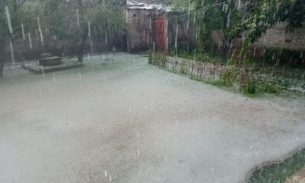 سوات ،ژالہ باری سے کھڑی فصلیں تباہ، پھلوں کے باغات کو سخت نقصان