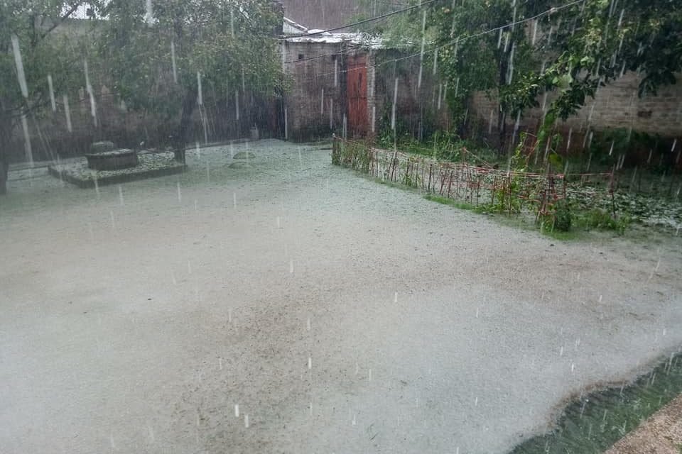 سوات ،ژالہ باری سے کھڑی فصلیں تباہ، پھلوں کے باغات کو سخت نقصان