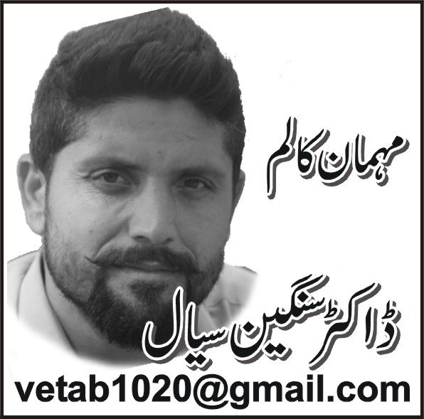 بندوق کی نوک پر اُمیدؔ