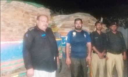 سوات  ڈی پی او کا جنگلات کی کٹائی کا نوٹس،2 ڈایئنوں سے قیمتی لکڑی کی لرونہ اورتختے برآمد