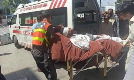 مینگورہ :کوکارئی پولیس  اور علاقہ معززین کی گاڑی حادثے کا شکار،8 افراد زخمی