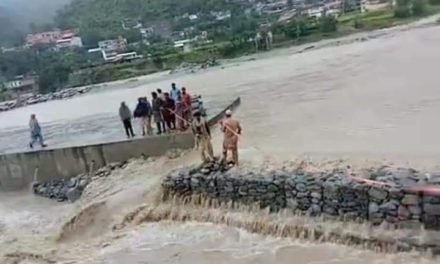 تازہ خبر:سوات مدین اور بیلہ گاوں کو ملانے والے تین رابطہ پل سیلابی ریلے میں بہہ گئ