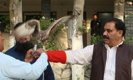 پرندے  جنگلی حیات ہے  اس کا تحفظ ہم سب کی مشترکہ ذمہ داری ہے،ڈی سی سوات