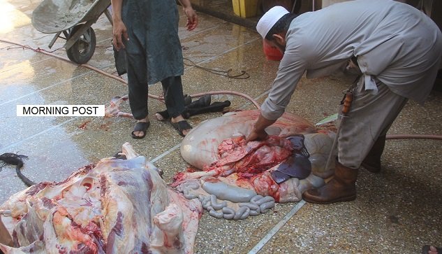 مینگورہ ، قصاب خانہ اہل علاقہ کے لئے دردِ سر بن گیا،منتقل کرنے کی اپیل