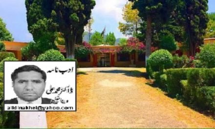 مٹہ کالج کی تاریخ