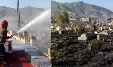 سیدو شریف قبرستان میں آگ لگ گئی سیکڑوں پودے جل خاکستر