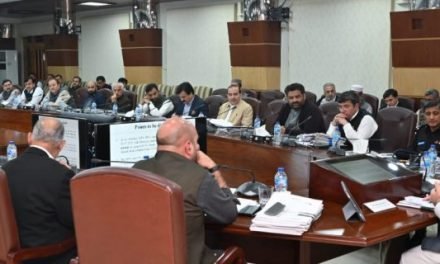 ڈی سی آفسز میں2 سالوں سے زیادہ عرصے سے تعینات ملازمین کا تبادلہ کیا جائے،وزیر اعلی