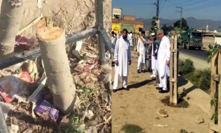 سوات ، بلوگرام گراونڈ میں درختوں کی کٹائی ،سول سوسائٹی آج احتجاج کریگی