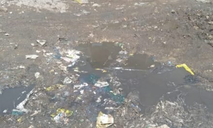 شانگلہ  میں صفائی کا ناقص نظام جگہ جگہ گندگی کے ڈھیربن گئے