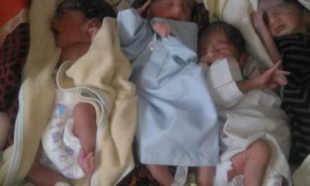 بونیر: ڈی ایچ کیو ہسپتال میں خاتون کے ہاں 5 بچوں کی پیدائش