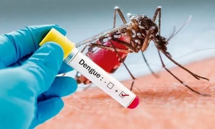 سوات،ڈینگی سے متعلق پیشگی اقدامات کے تناظر میں اہم اجلاس