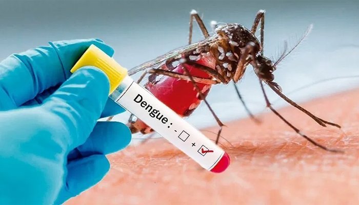 سوات،ڈینگی سے متعلق پیشگی اقدامات کے تناظر میں اہم اجلاس