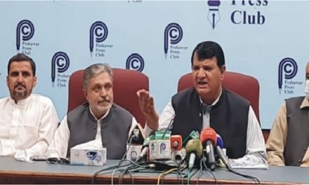 نوازشریف اورشہبازشریف کاساتھ دینے کی سزامجھے دی جارہی ہے۔امیرمقام