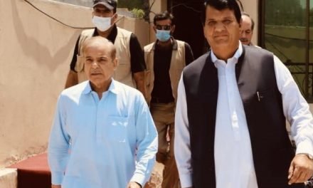 وزیر اعظم شہباز شریف اور امیر مقام سے استدعا