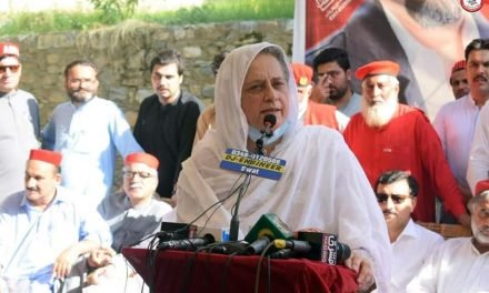سابق ایم این اے اور والیِ سوات کی بہو مسرت احمد زیب  اے این پی میں شامل