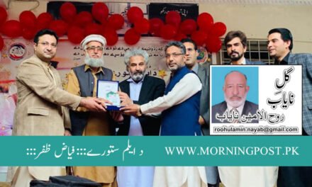 د ایلم ستورے ’’فیاض ظفر‘‘