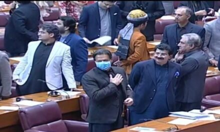 سمندر پار پاکستانیوں کے ووٹ کا قانون منظور