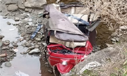 سوات علاقہ سیر تلیگرام میں رکشہ پل سے نیچے جاگری،3 افراد جاں بحق جبکہ 3 شدید زخمی