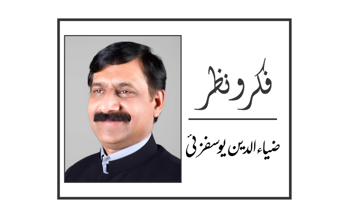 پشتو ادب کے خدائی خدمت گار