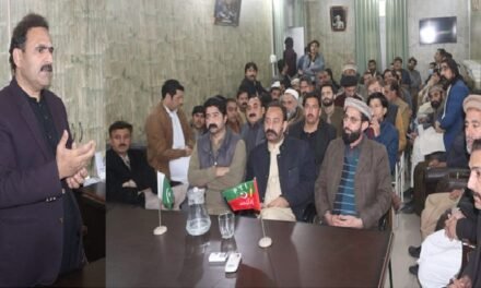 سوات حلقہ پی کے 5 میں پی ٹی آئی کا بلدیاتی انتخابات سے متعلق مشاورتی اجلاس
