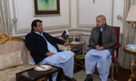 شہباز شریف سے انجینئر امیر مقام کی ملاقات، پختونخوا میں بلدیاتی انتخابات پر تفصیلی تبادلہ