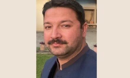 بلدیاتی الیکشن میں ہرتحصیل، یونین کونسل اورنیبرہوڈ سے امیدواروں کو سامنے لائیں گے.عاصم خان