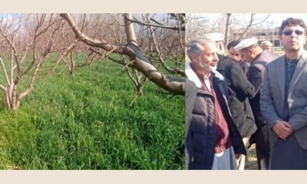 سوات علاقہ بانڈئ اور ننگولئی میں زرعی زمینوں پر لگا سیکشن فور مسترد،سخت احتجاج کا اعلان