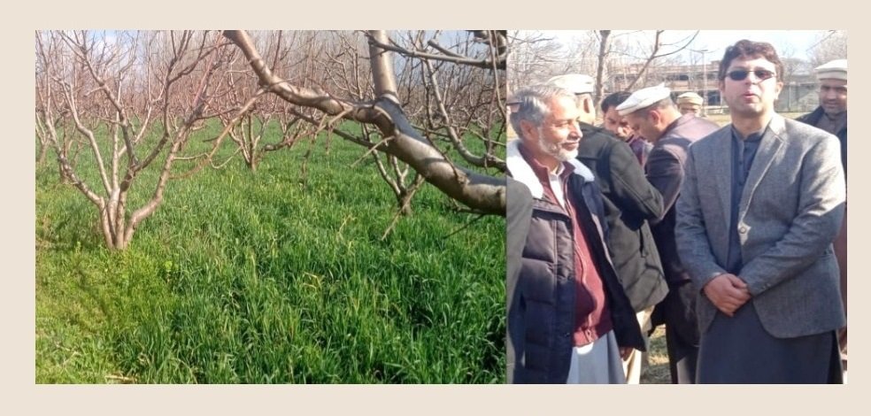 سوات علاقہ بانڈئ اور ننگولئی میں زرعی زمینوں پر لگا سیکشن فور مسترد،سخت احتجاج کا اعلان