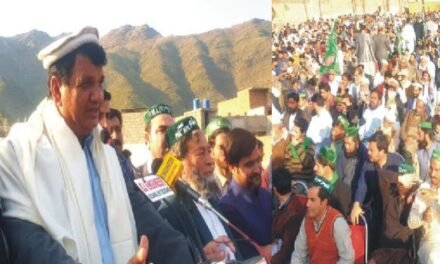 ملک کو بے دردی سے لوٹنے والے اگلی بار اقتدار کی نہیں بلکہ جیل جانے کی سوچھیں،امیر مقام