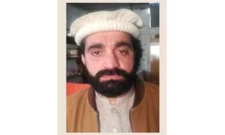 عملی کام پر یقین رکھتے ہیں منتخب ہوکر انتخابی وعدوں کو عملی جامہ پہنا کر دکھائیں گے,وقایت اللہ باچا