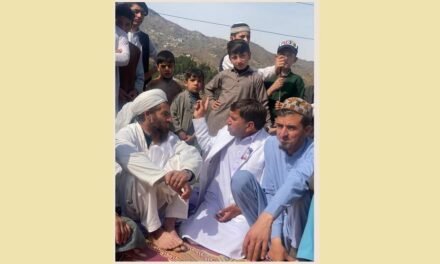 چار باغ عوام سے جتنے بھی وعدے کئے ہیں، انہیں پورا کرکے دکھائیں گے۔انجینئرسیدعلیم شاہ