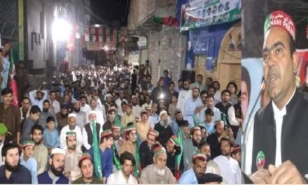 مینگورہ، تحریک انصاف کے امیدوار برائے جنرل کونسلر جہانزیب گوگل کابھرپور سیاسی قوت کا مظاہرہ