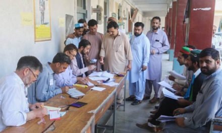 بلدیاتی انتخابات:سوات میں ایک تحصیل پر جے یو ائی اور6تحصیلوں پر پی ٹی آئی اُمیدوار کامیاب