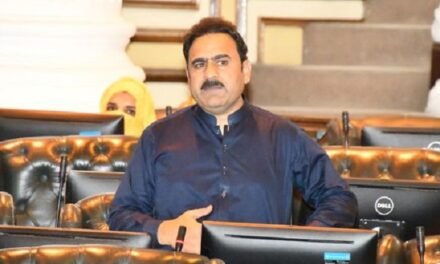 مینگورہ میں گیس و بجلی کی ناروالوڈ شیڈنگ کا نوٹس لیا جائے،فضل حکیم خان