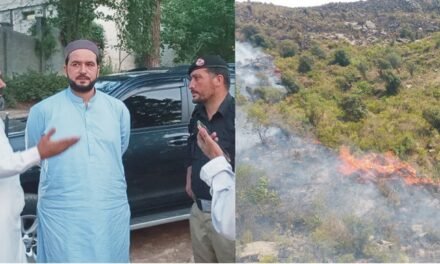 سوات میئر شاہد علی کا آگ سے متاثرہ مختلف پہاڑی علاقوں کا دورہ