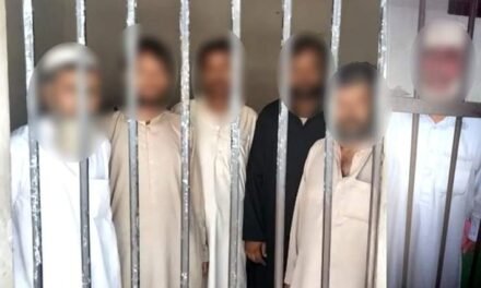 سوات کے جنگلات میں آگ لگانے والے ملزمان کا سراخ لگا لیاگیا، متعدد گرفتار