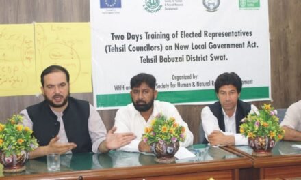 منتخب ممبران مل کر تحصیل کونسل بابوزئی کو چلائیں گے اور عوامی مسائل کا خاتمہ کرینگے،شاہد علی خان