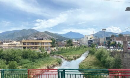 مینگورہ شہر کی گندی ندی سر سبز مقام میں تبدیل،خصوصی رپورٹ