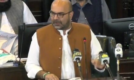 خیبرپختونخوااسمبلی نے ڈاکٹروں کی مستقلی سمیت تین قانونی بلوں کی منظوری دیدی