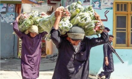 سڑکوں کی تباہی نے سوات کے کسانوں کو پریشانی میں ڈال دیا
