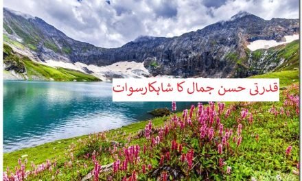 قدرتی حسن جمال کا شاہکارسوات